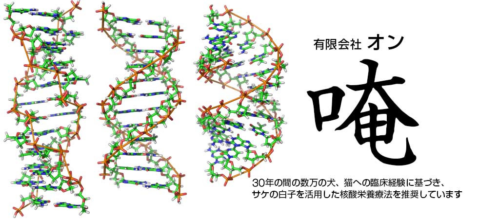 20年の間の数万の犬、猫への臨床経験に基づき、サケの白子を活用した核酸栄養療法を推奨しています