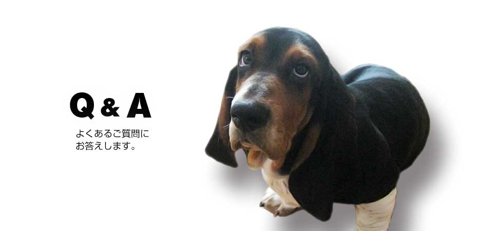 Q & A 良くあるご質問
