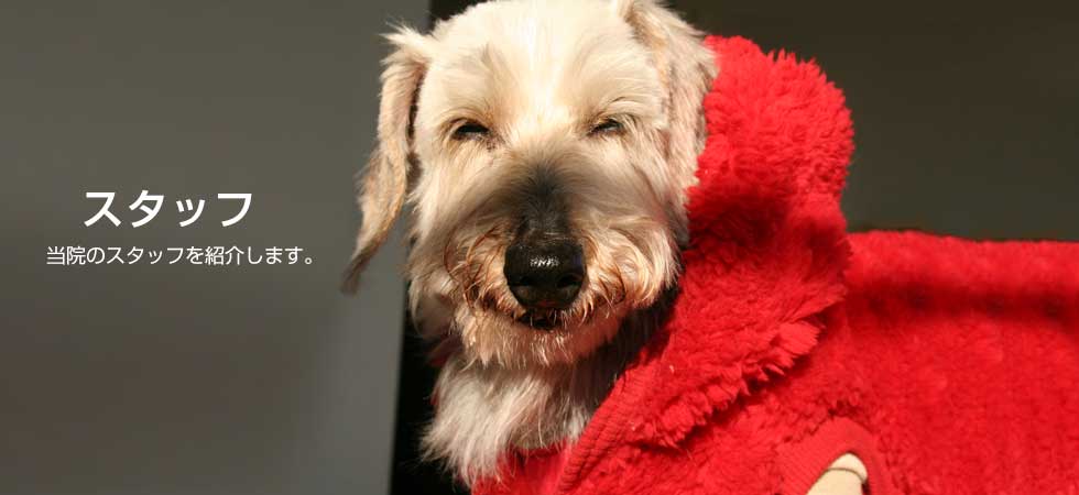 当院のスタッフ紹介