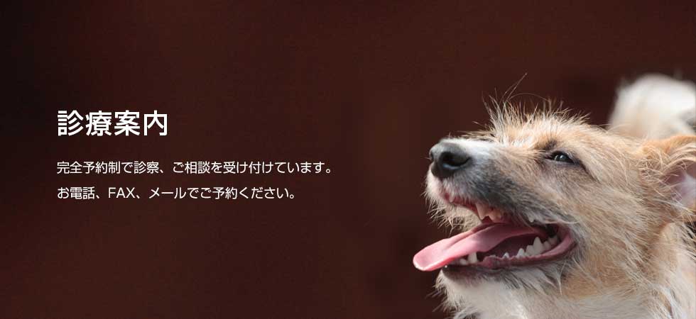 完全予約制で診察、ご相談を受け付けています。お電話、FAX、メールでご予約ください。なお、一次診察は受け付けておりません