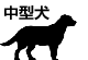 中型犬